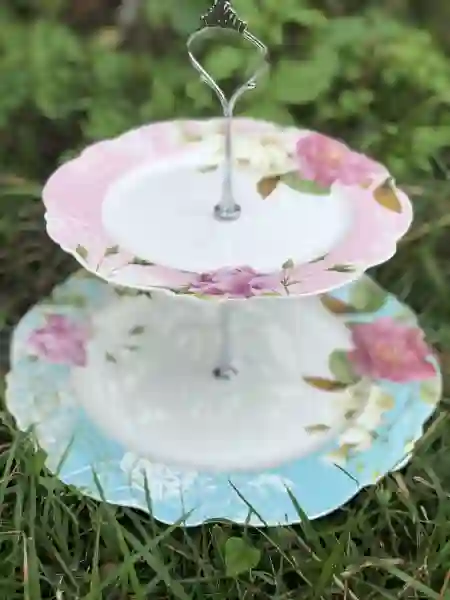 food stands rentals - The Tea Party Company 2 tiered foood stand pink salad plate on top blue dinner plate on bottom