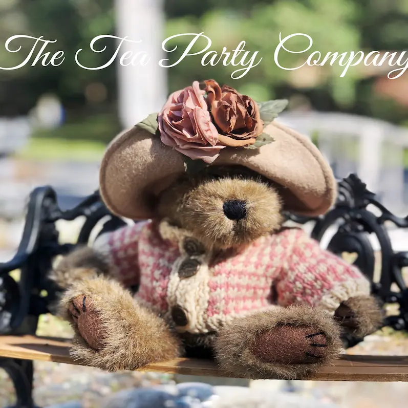 teddy bear with a hat