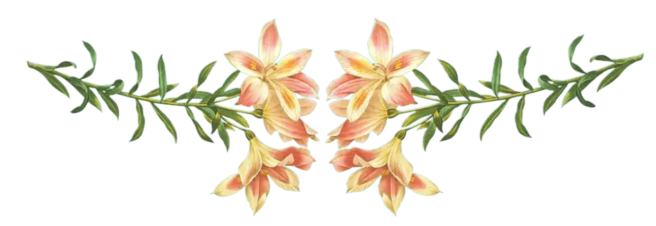floral clipart