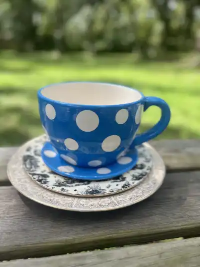alice in wonderland theme party | The Tea Party Company Blue polka dots giant teacup planter.