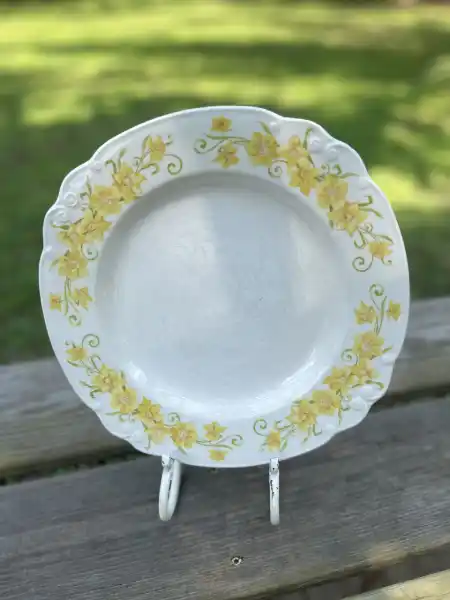 dinner plate