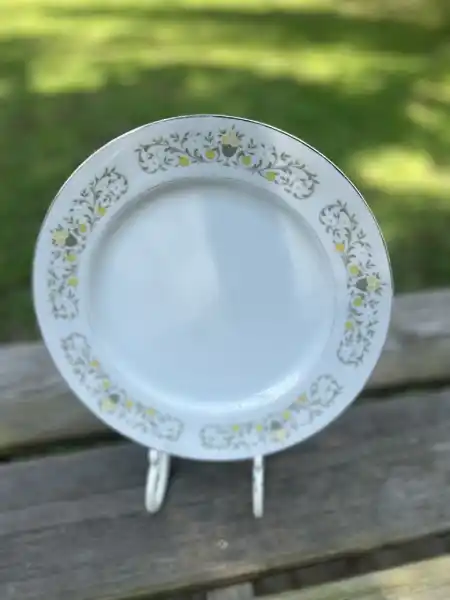 dinner plate