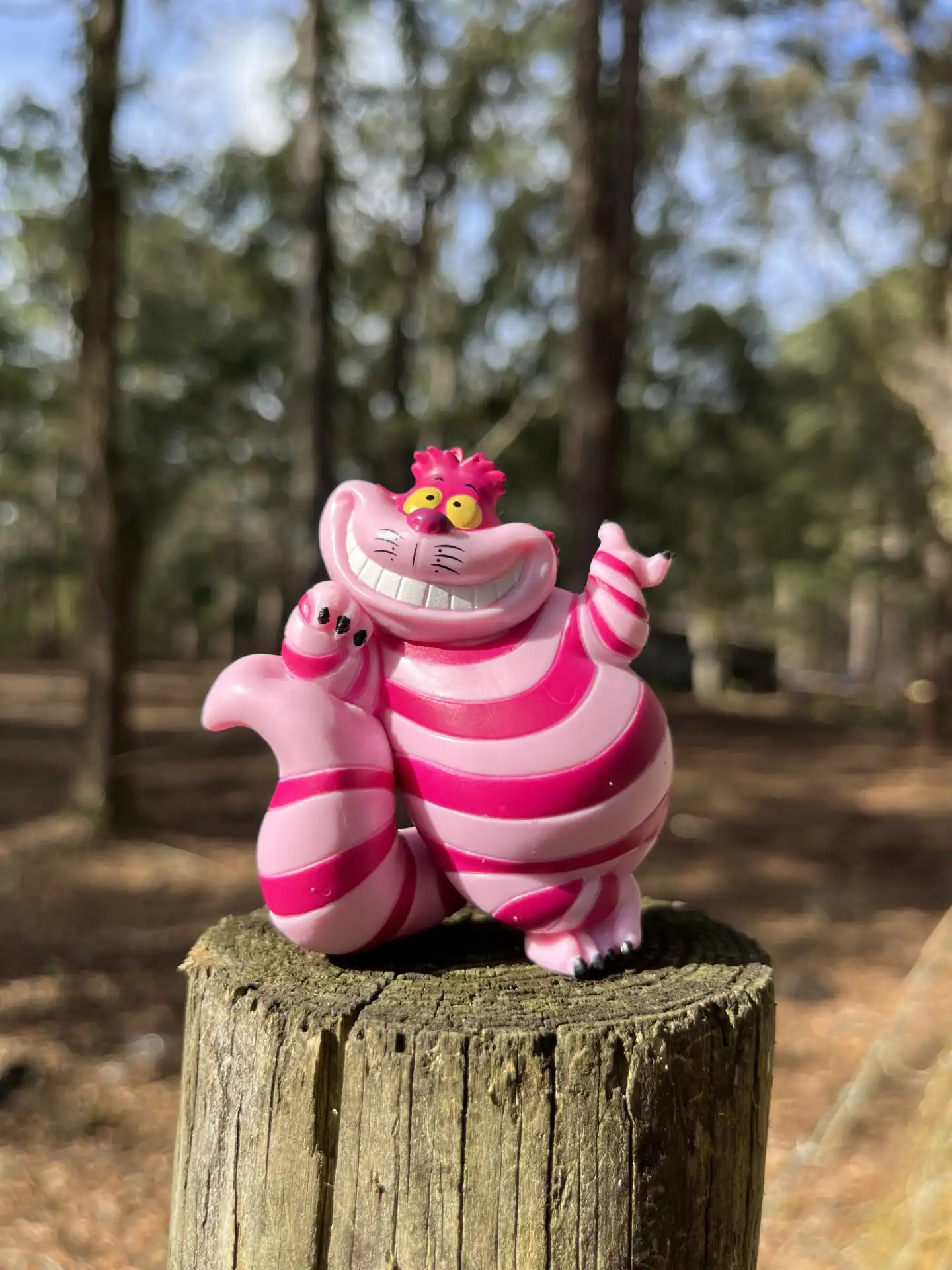 alice in wonderland theme party | The Tea Party Company Walt Disney Alice in Wonderland, Cheshire Cat.
