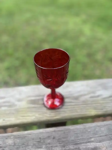 glassware rentals | The Tea Party Company red vintage water goblet