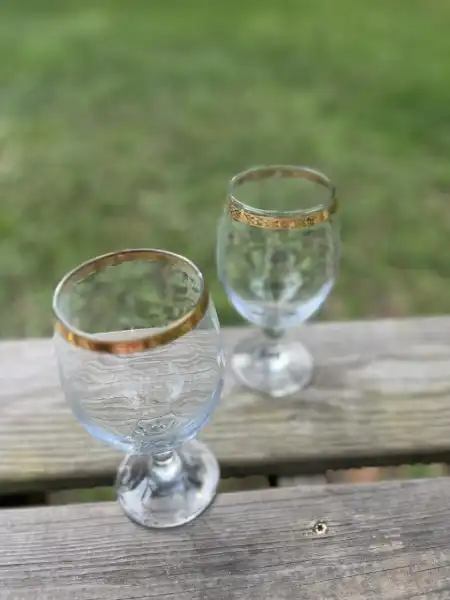 glassware rentals | The Tea Party Company gold rim water goblets