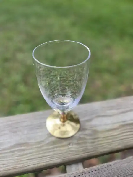 glassware rentals | The Tea Party Company gold steam water goblet