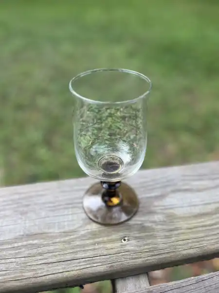 glassware rentals | The Tea Party Company smokey brown water goblet