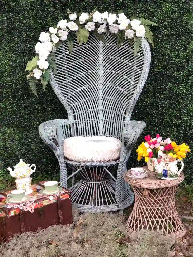 grey peacock chair boho table
