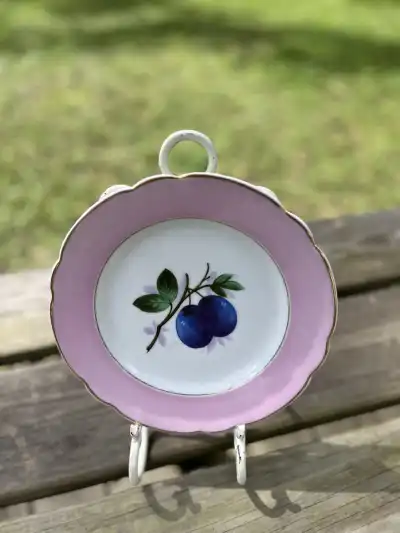 salad plates rentals | The Tea Party Company Vintage salad plate white with a pink edge and depicting 2 plums hanging from a branch.