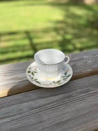 mismatch china rentals | The Tea Party Company mismatch white silver rim teacup cream saucer green leafs