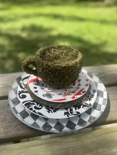 alice in wonderland theme party | The Tea Party Company Moss covered teacup with 3 dishes black and white pattern.