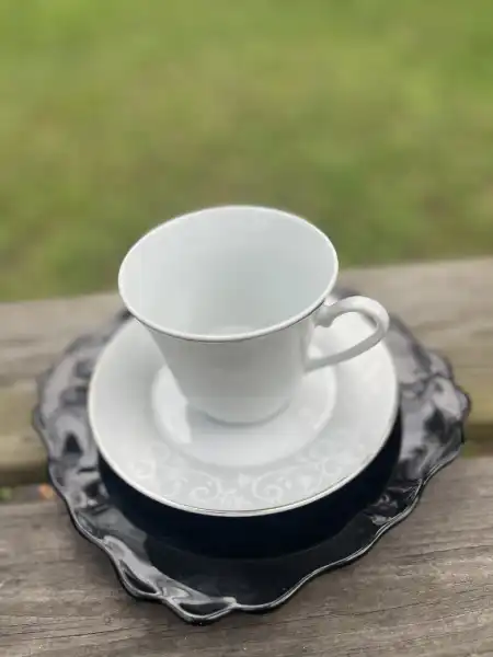 matching-tea-cups-and-saucers | The Tea Party Company white and silver teacup and saucer with a black salad plate