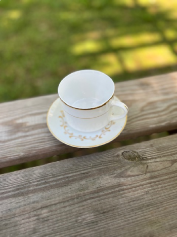 matching-tea-cups-and-saucers | The Tea Party Company white nad gold teacup & saucers