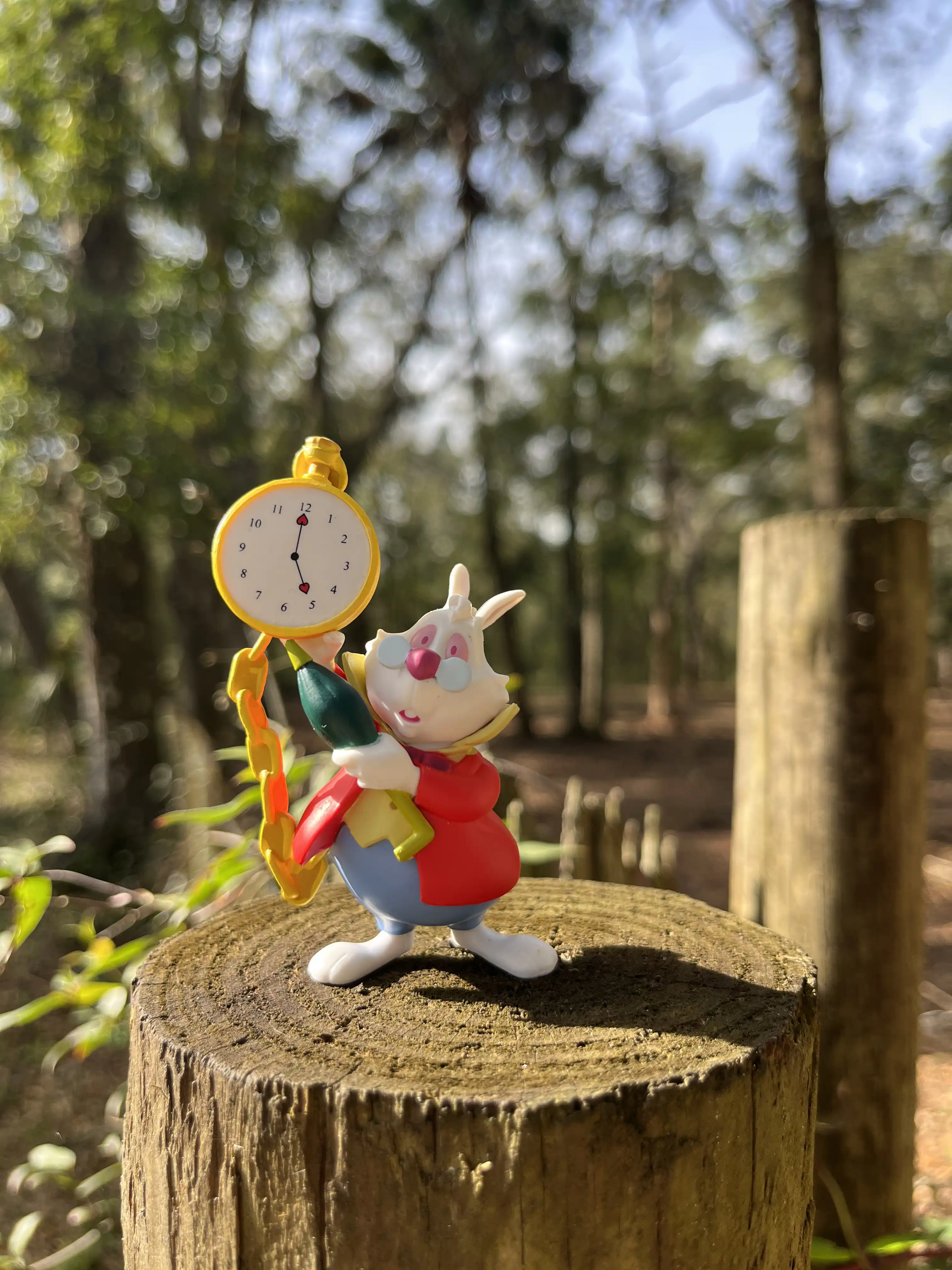 alice in wonderland theme party | The Tea Party Company Cute Walt Disney White Rabbit Holding a Yellow Clock.
